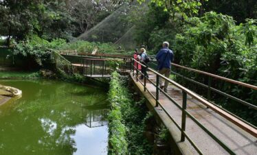 Entebbe Eco Tour – Full Day