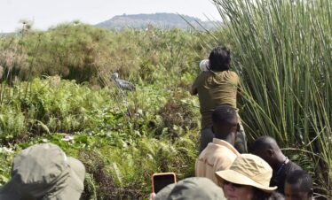 Mabamba Shoebill Tour – Half Day